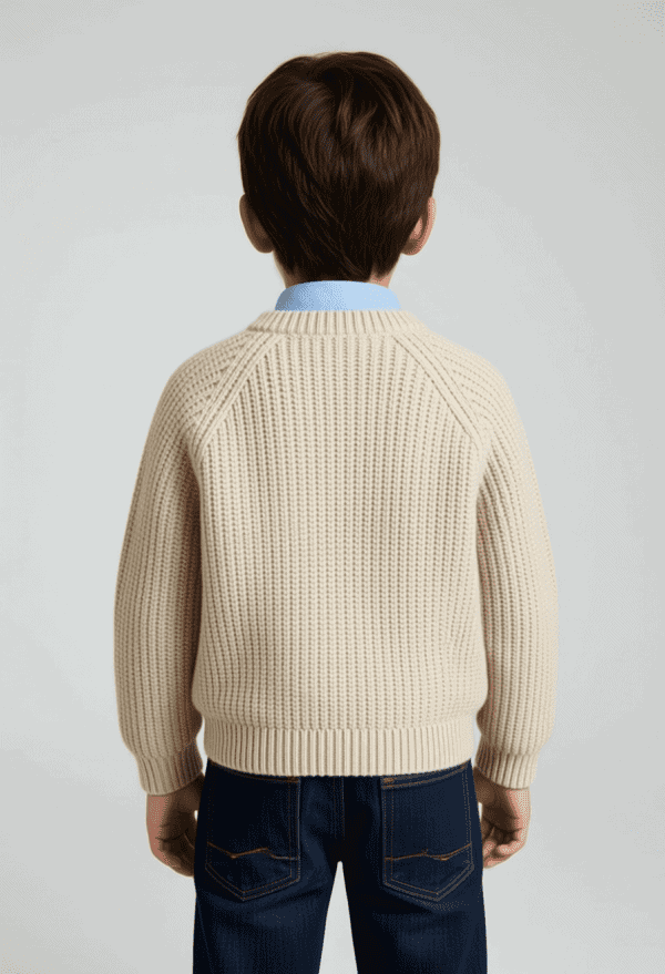 pull garçons atlas en beige 4 16 ans dos